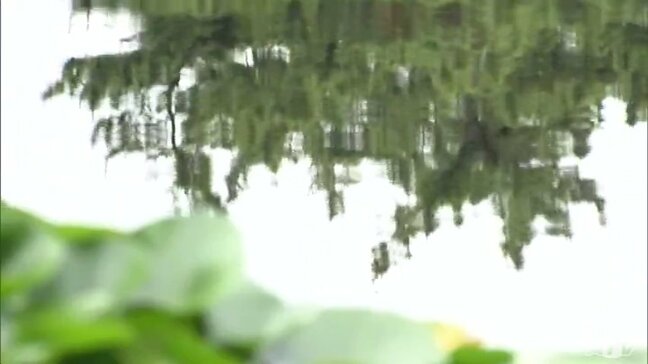 【大雨情報】24時間の降水量が全域で100ミリ予想　雨雲発達で「警報級の大雨」の可能性も…【青森】|TBS NEWS DIG