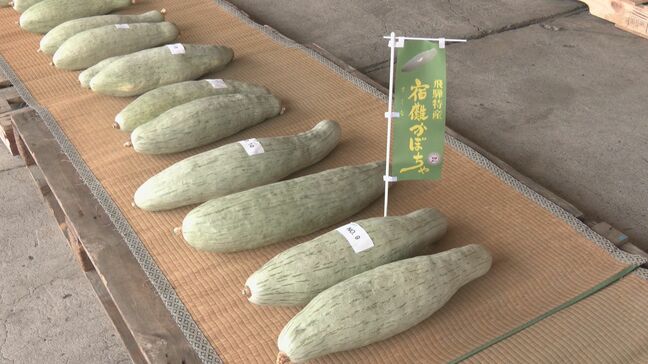 飛騨の特産“宿儺（すくな）かぼちゃ”の品評会 ｢例年と比べ小ぶりだがとても甘くておいしい｣ 出荷の最盛期迎える 岐阜･高山市|TBS NEWS DIG