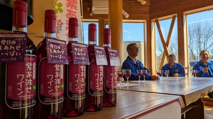 「香り、味ともに上出来です」紫あ波せ（しあわせ）ワイン完成　発表会行われる　岩手|TBS NEWS DIG