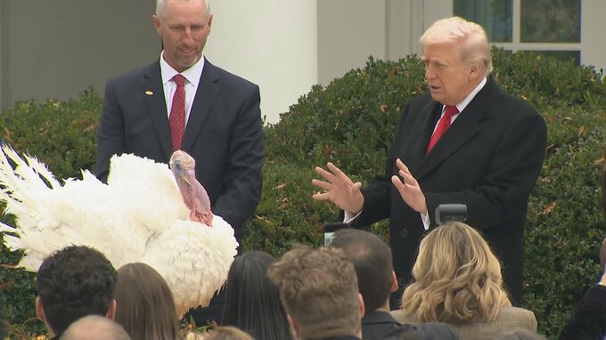 トランプ大統領が七面鳥に“恩赦” 「1年前より33％安くなった」政権の取り組みもアピール