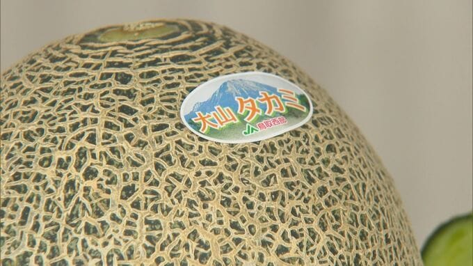 贈って喜ばれ贈られてうれしい　夏の味覚　大山メロン　　|　BSSニュース | BSS山陰放送