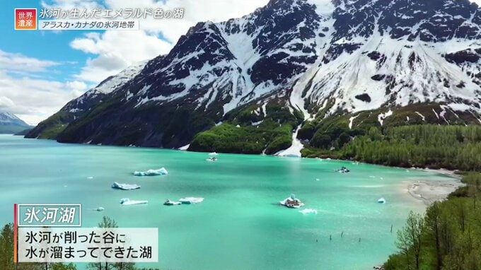 カナダ、アメリカ、フランス…ボートとキャンプで楽しむ世界遺産【世界遺産／アラスカ・カナダの氷河地帯】|TBS NEWS DIG