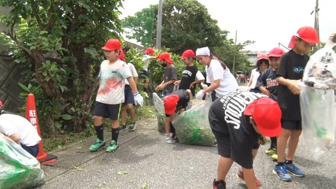身近な場所からキレイに　島内ごみゼロ大作戦　宮古島市|TBS NEWS DIG