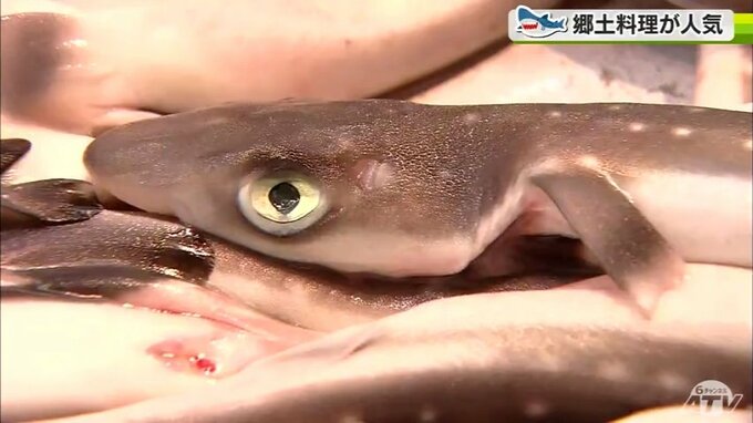 青森独自のサメ文化「サメなますを食べるとえんぶりの季節」冬が旬・サメの郷土料理が人気　|　青森のニュース│ATV NEWS│青森テレビ