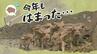 ２年連続でウリ坊が集団ではまった水路、深さ３メートルで「脱出不能」も野生動物のため救出できず|TBS NEWS DIG