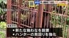 岩見沢の養鶏場で鶏など４０羽が死ぬ　クマによる被害か　今年5回目の被害　|　北海道のニュース｜HBC北海道放送
