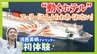 ゆったりと心地良い船旅はＧＷにぴったり？フェリー『さんふらわあ くれない 』に乗ってみた！大阪－別府を結ぶ豪華な“動くホテル”　ペットＯＫの客室や「１人でも泊まりやすい」相部屋タイプなど２０種類以上の部屋を用意　|　MBSニュース | 関西の最新ニュースを分かりやすく。