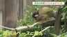 「特別感がある」動物展示スペースにも潜入!  熊本市動植物園で会員限定イベント　|　熊本のニュース｜RKK NEWS｜RKK熊本放送