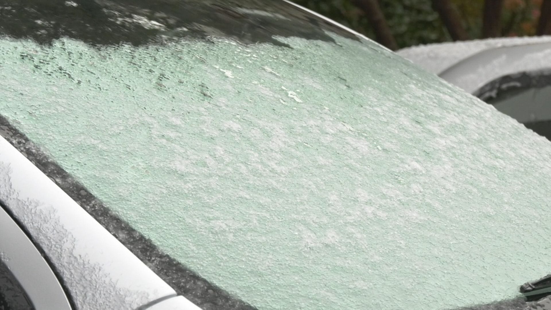 初雪 img_6f5e46b8dce217d6d57189c5ef