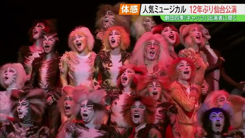 ネコよりネコらしく』！？観客動員数1100万人以上「劇団四季キャッツ