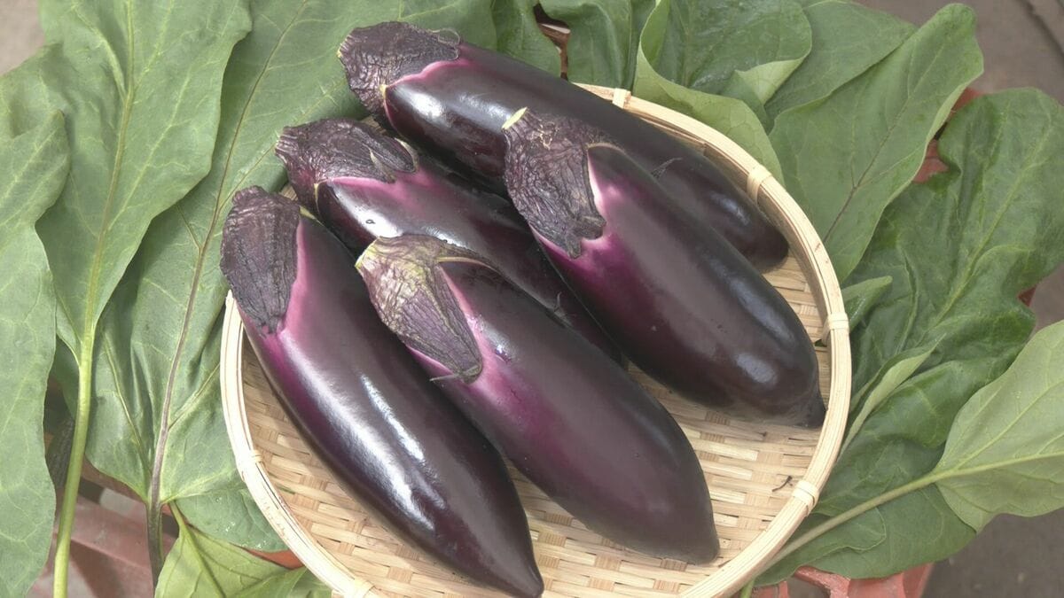 img_6f5b62f63d9a807675da8dc85d