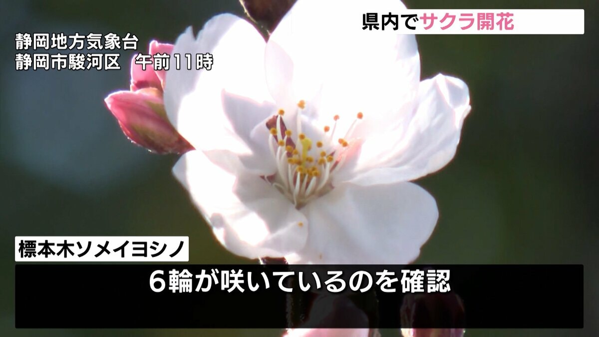 さくら。様確認用 img_6fb835e34434c7b956b51ed950
