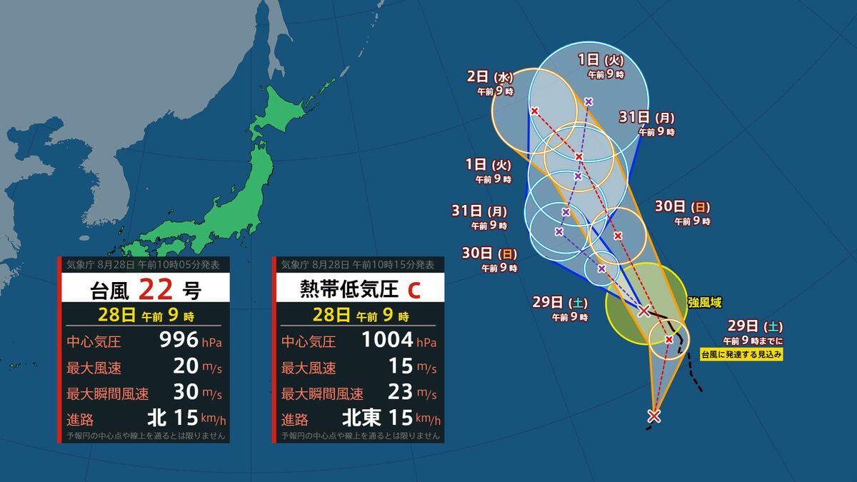 公の場での発言・インタビュー報道記録