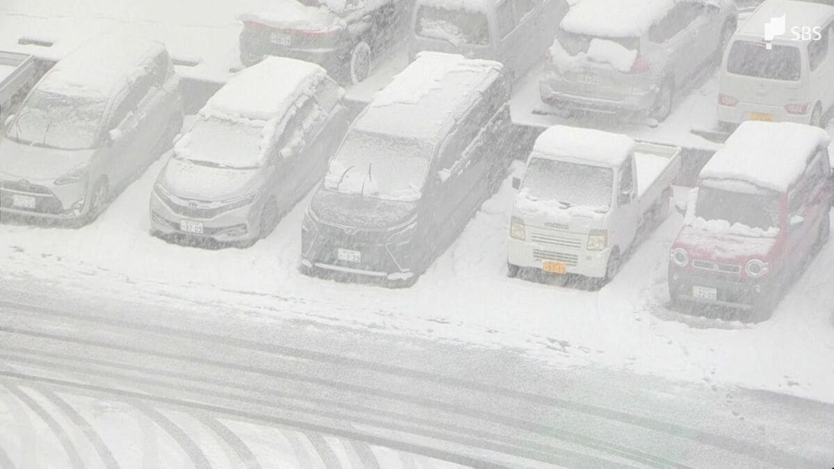 静岡・2月8日の雪情報】衆院選の投票日 ''横なぐりの雪''に注意を 雪の