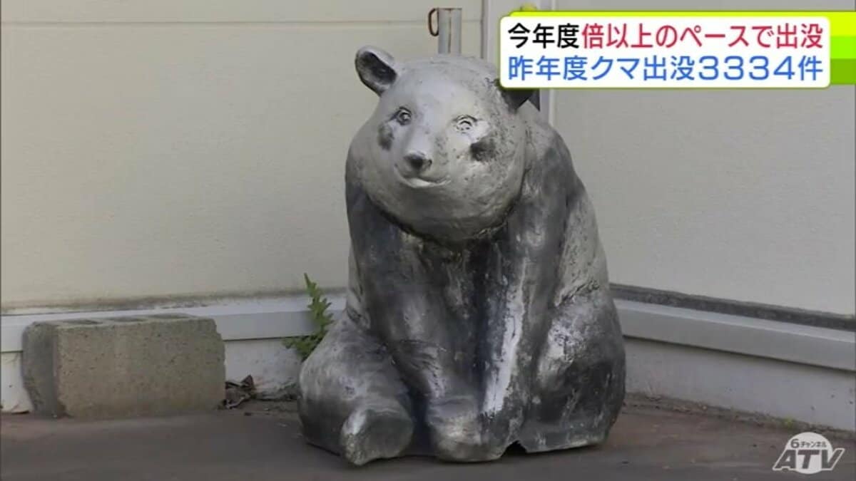 昨年度のクマの出没件数が発表 青森県内は過去最多の3334件 捕獲数も
