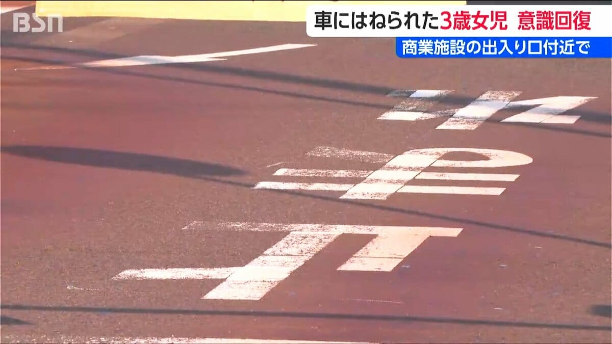 サムネイル_3歳の女児 意識取り戻す 商業施設の出入り口付近で車にはねられ一時意識不明に　新潟県燕市