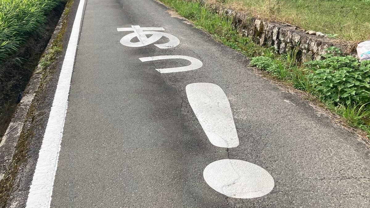 道路に突然「あっ！」誰が何の目的で…何だろうとスピードを落とすと「あっ！」な瞬間が