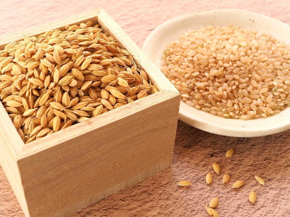 令和の米騒動」で稼働増 新米シーズンに活躍の「コイン精米 機」使い方によっては動かない場合も…利用時の注意点は（ＮＢＣ長崎放送）｜ｄメニューニュース（NTTドコモ）