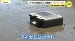 「アイガモ米」増産へロボットを本格導入　広島市の農園「アイガモとロボットのハイブリッドで水田管理」　|　RCC NEWS | 広島ニュース | RCC中国放送