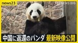 中国に返還の和歌山のパンダ最新映像公開“ゼロパンダ”は防げる?日中がジャイアントパンダ貸与を協議 日本産牛肉は中国に輸出再開に向け“前進”【news23】|TBS NEWS DIG