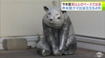 昨年度のクマの出没件数が発表　青森県内は過去最多の3334件　捕獲数も過去最多の1248頭に　2026年は昨年度の倍以上のペースで出没　五所川原市では緊急銃猟のための訓練が初めて実施|TBS NEWS DIG