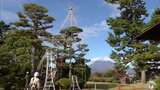 冬支度進む― 藤田記念庭園で「松の雪吊り」 青森県弘前市|TBS NEWS DIG