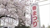「お面買った」満開のサクラ咲き誇る合浦公園　春まつり賑わう　青森市|TBS NEWS DIG