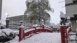 “クリスマス寒波” 南国・高知に約5年ぶり大雪警報 23日夕方にかけ大雪に警戒を | 高知のニュース・天気|KUTV NEWS | KUTVテレビ高知