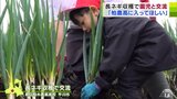 高校生と園児が「長ネギ」の収穫で交流 園児の背丈ほど育った長ネギも力いっぱい引き抜いて | 青森のニュース│ATV NEWS│青森テレビ