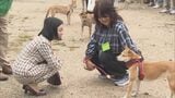 愛犬の名は「左馬助」　三笠宮家彬子さまが山陰柴犬鑑賞会など視察　美術展の特別記念講演会出席で鳥取県訪問|TBS NEWS DIG