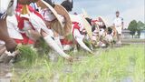 古式ゆかしく「神田御田植初」 伊勢神宮の伝統儀式 神前に供える御料米の苗を植える | 名古屋・愛知・岐阜・三重のニュース【CBC news】 | CBC web