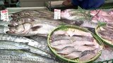鍋の季節! 鮮魚市場で聞いたオススメ食材は「スズキ」「フグ」「イカ」 一方で“冬の野菜”はまだ高い|TBS NEWS DIG