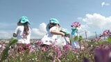 「めっちゃ楽しかった」”ピンクのじゅうたん”のようなレンゲ畑で幼稚園児が花摘み＝静岡・富士市|TBS NEWS DIG