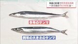 残暑や大雨の影響で野菜は価格が高騰 一方、「秋の味覚」サンマは…|TBS NEWS DIG