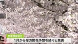 10年に一度の最強寒波襲来も桜は早咲き傾向 開花には“寒さ”が必要?そのワケは?気象予報士が解説 | 青森のニュース│ATV NEWS│青森テレビ