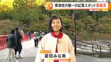 紅葉の名所「香嵐渓」は今シーズン一番の冷え込み 色づきも一気に進んで今週末は見頃に【動画あり】　|　名古屋・愛知・岐阜・三重のニュース【CBC news】 | CBC web