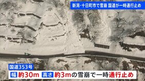 雪崩発生で斜面からの雪が30メートルにわたり国道を覆う　巻き込まれた車なし　国道が一時通行止め　新潟・十日町市　日本海側、18日ごろから大雪の恐れあり|TBS NEWS DIG