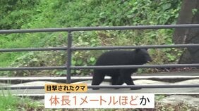 山形でクマの出没相次ぐ 山形市の東海大山形高校付近で目撃 南陽市の赤湯小学校付近でもクマ目撃、学校のガラス割られる被害も|TBS NEWS DIG