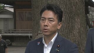 小泉農水大臣 衆院の早期解散を否定 自民総裁選| TBS CROSS DIG with Bloomberg