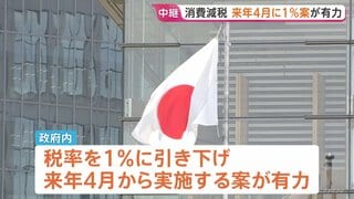 「来年4月から食料品の消費税1％」案 政府内で見方強まる　レジシステムの改修期間半分に　消費減税めぐる「国民会議」で議論| TBS CROSS DIG with Bloomberg
