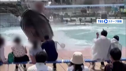 img_6f00b458755fc5e211f97767c9