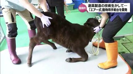 小動物外科手術 上 犬・猫の外科手術｜避妊・去勢・整形外科など｜さくま動物医療センター