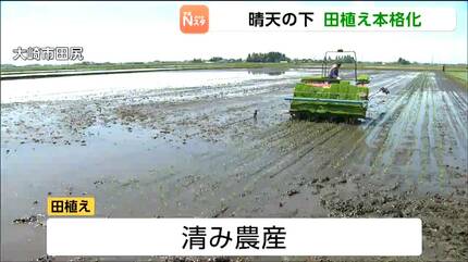 おいしいコメを届けたい」5月に入り田植え本格化！燃料費高騰などを