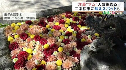 仏花、てっせんアレンジ やすく 