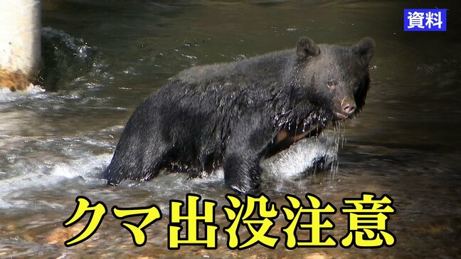 クマにかぶの漬物、キャットフード食べられる 1日に2度も家に侵入 男性が大声を出すと立ち去る 岩手・雫石町|TBS NEWS DIG