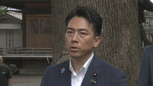 小泉農水大臣　衆院の早期解散を否定　自民総裁選|TBS NEWS DIG