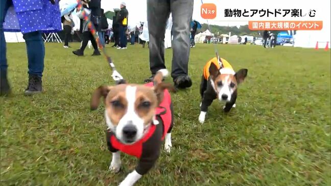「人にも犬にも刺激的で非日常でいいな」浜名湖ガーデンパークで動物とアウトドアを楽しむイベント開催＝浜松市中央区|TBS NEWS DIG