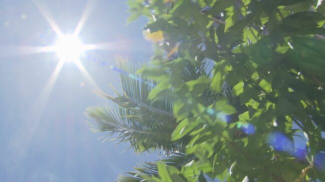 県内の熱中症の搬送者数1502人、過去5年で最多に 死亡は7人|TBS NEWS DIG