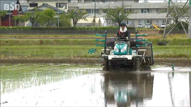“米不足”のなか 親戚の手も借り田植えも終盤 今後の生育に期待【ゴールデンウィークの表情】大型連休最終日の新潟市|TBS NEWS DIG
