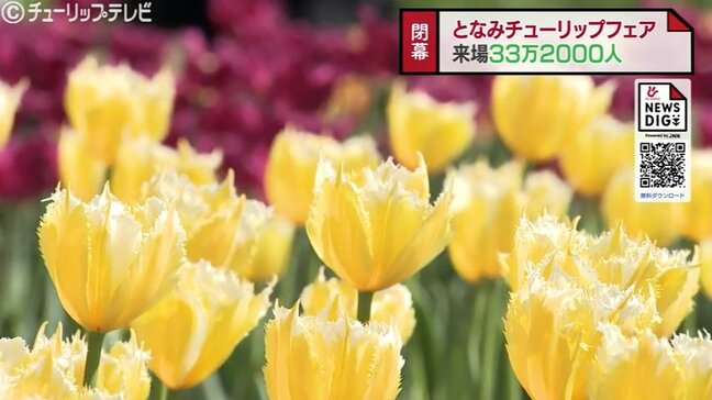 目標30万人突破 チューリップフェア来場者 外国人は激増の1万人超え NYタイムズ効果も 富山・砺波市|TBS NEWS DIG